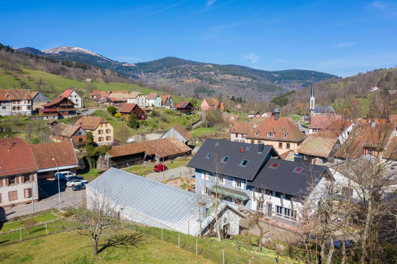 Locations Des 3 Sommets Avec Sauna Et Spa En Alsace Sondernach Екстер'єр фото