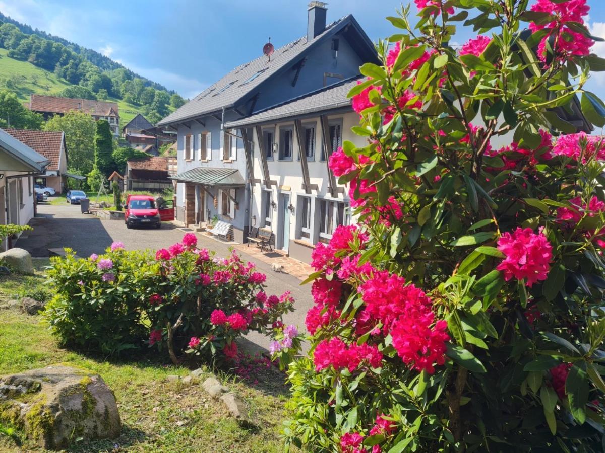 Locations Des 3 Sommets Avec Sauna Et Spa En Alsace Sondernach Екстер'єр фото
