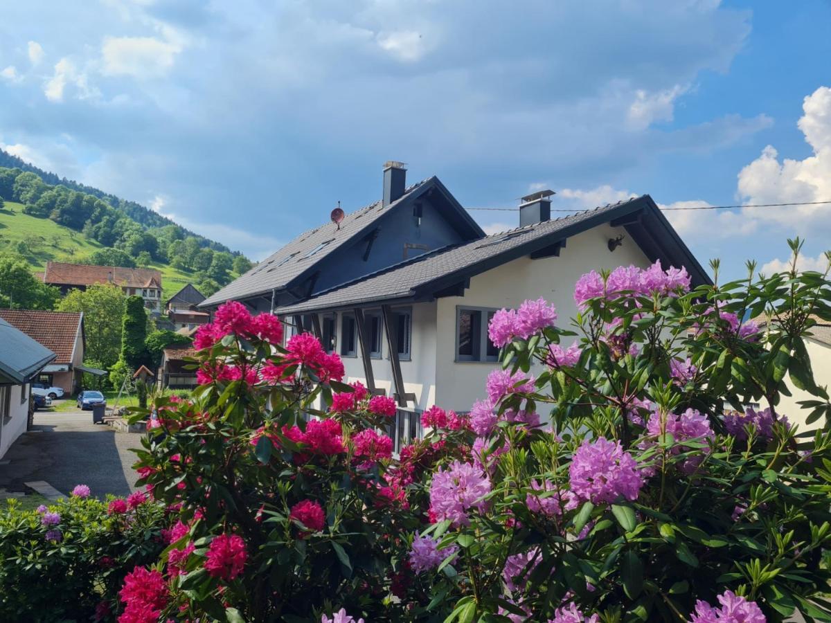 Locations Des 3 Sommets Avec Sauna Et Spa En Alsace Sondernach Екстер'єр фото