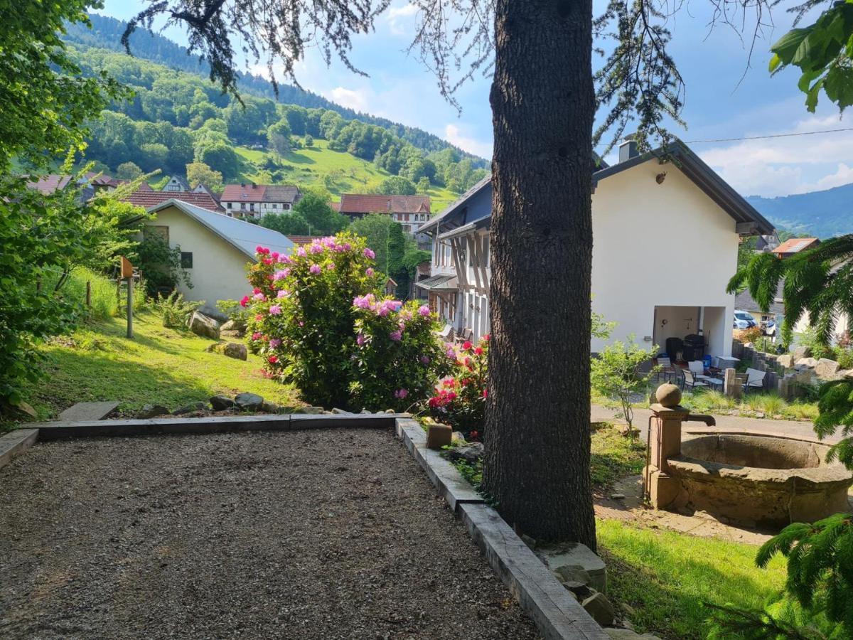Locations Des 3 Sommets Avec Sauna Et Spa En Alsace Sondernach Екстер'єр фото