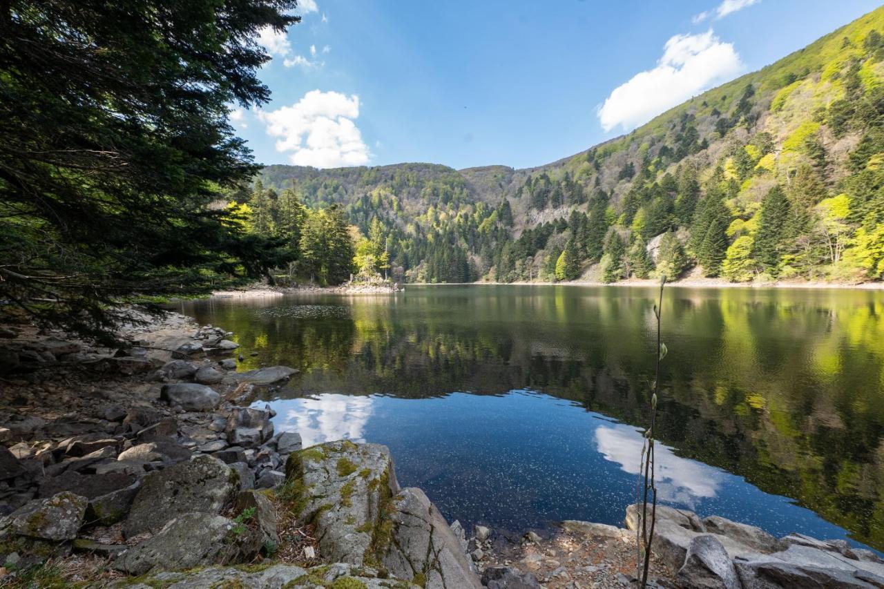Locations Des 3 Sommets Avec Sauna Et Spa En Alsace Sondernach Екстер'єр фото